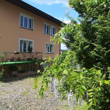 Noclegi Pod Lasem Solina 20 Kültér fotó