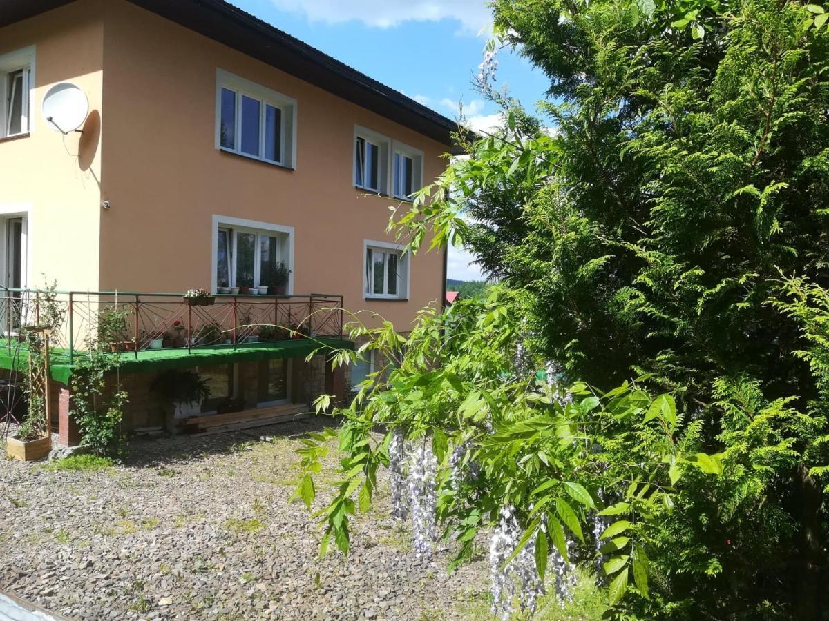 Noclegi Pod Lasem Solina 20 Kültér fotó