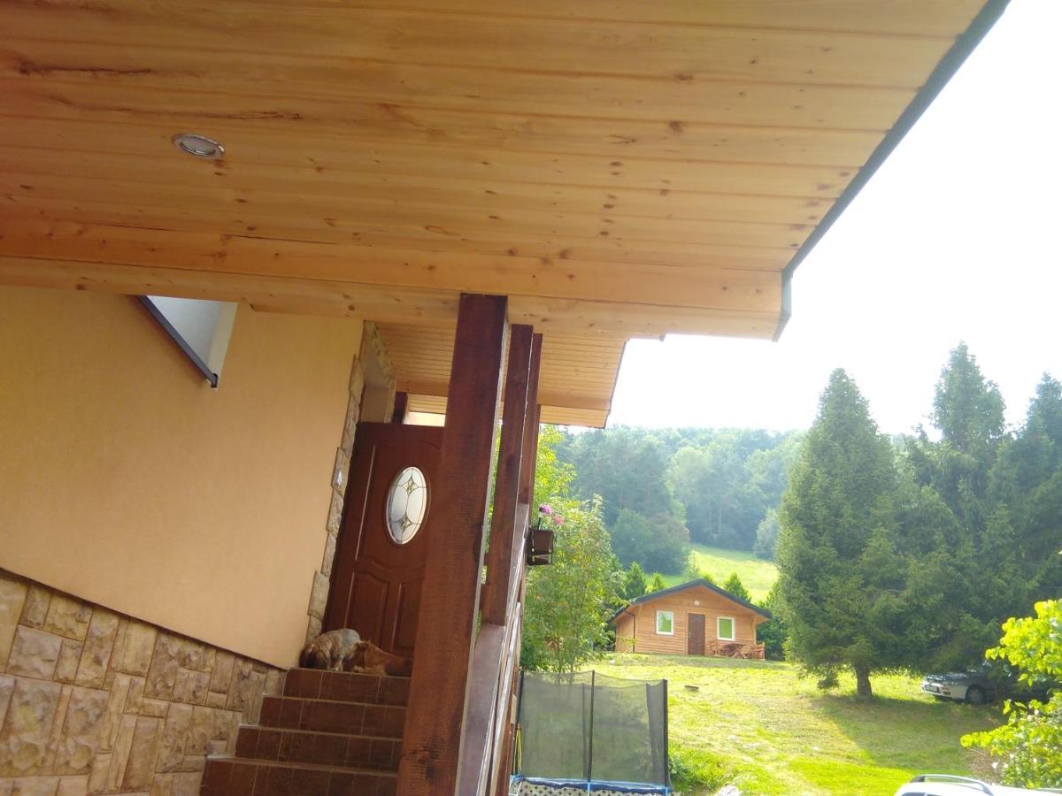 Noclegi Pod Lasem Solina 20 Kültér fotó